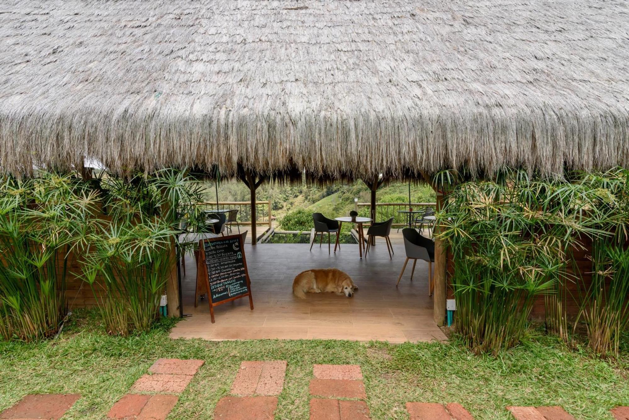 Levit Glamping - Hotel Guatape Penol (Adults Only) ภายนอก รูปภาพ